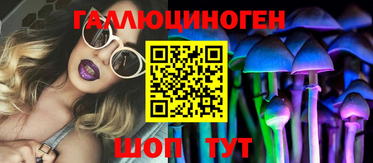 Псилоцибиновые грибы Cubensis  Вход с VPN  Псилоцибиновые грибы Psilocybine cubensis  Луга 