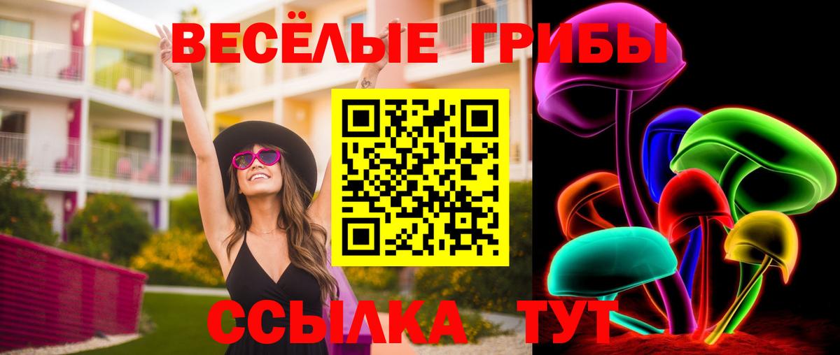 Псилоцибиновые грибы ЛСД Луга